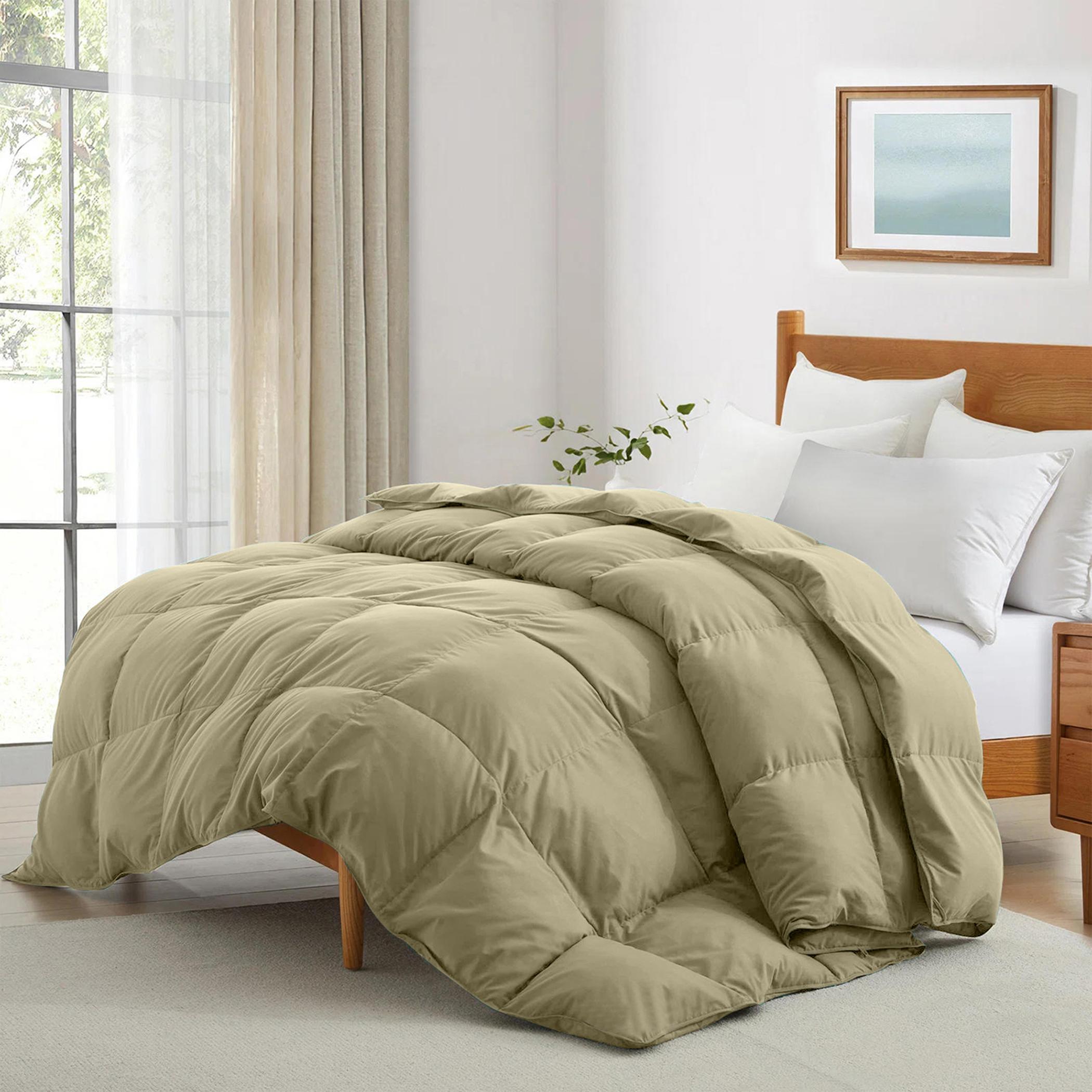 لحاف كوين سناجل من ألتيما - 150×220 سم-hbxbedroom-bedding-comfortersets-image-1