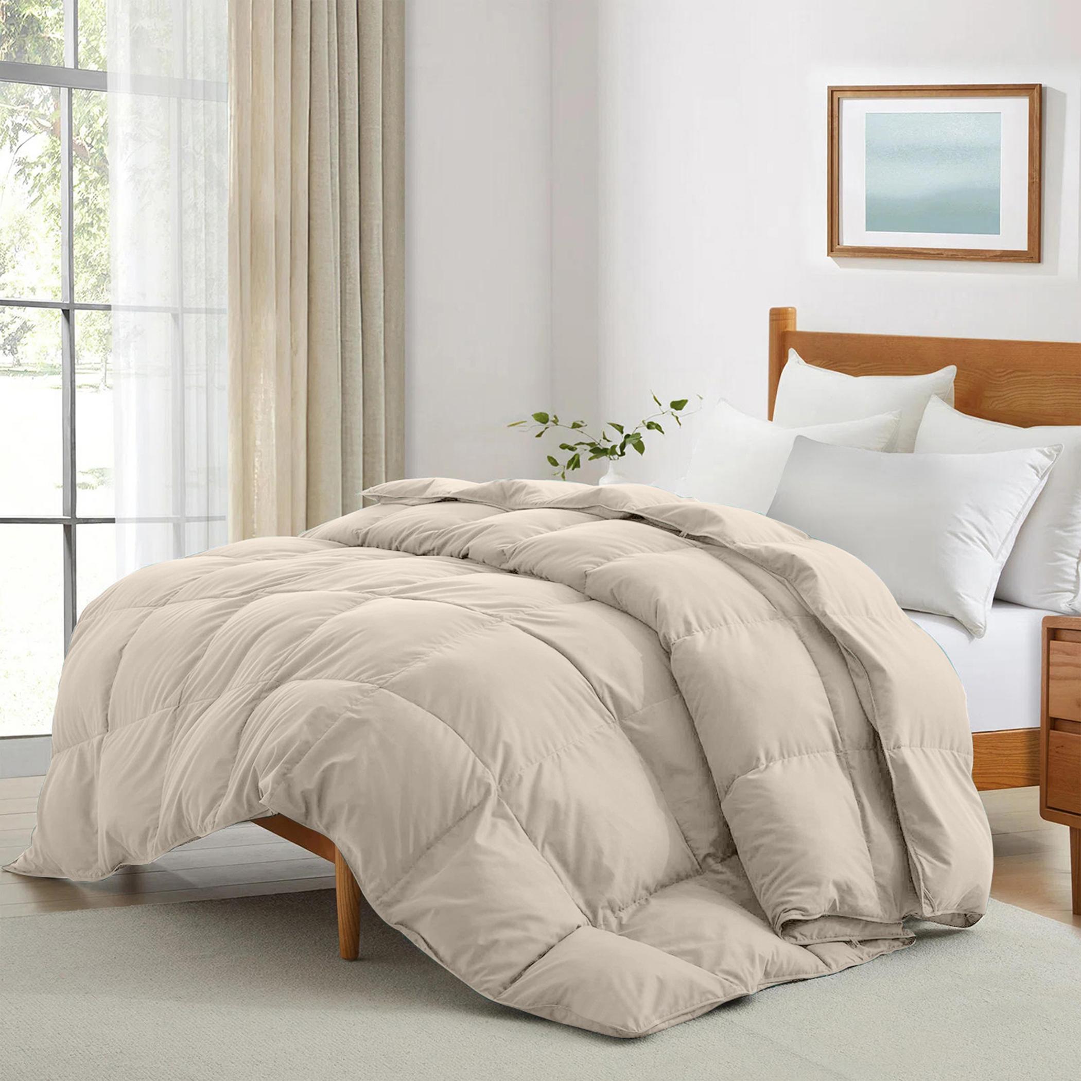 Ultima Snuggle Queen Comforter - 150x220 cm-hbxbedroom-bedding-comfortersets-image-1