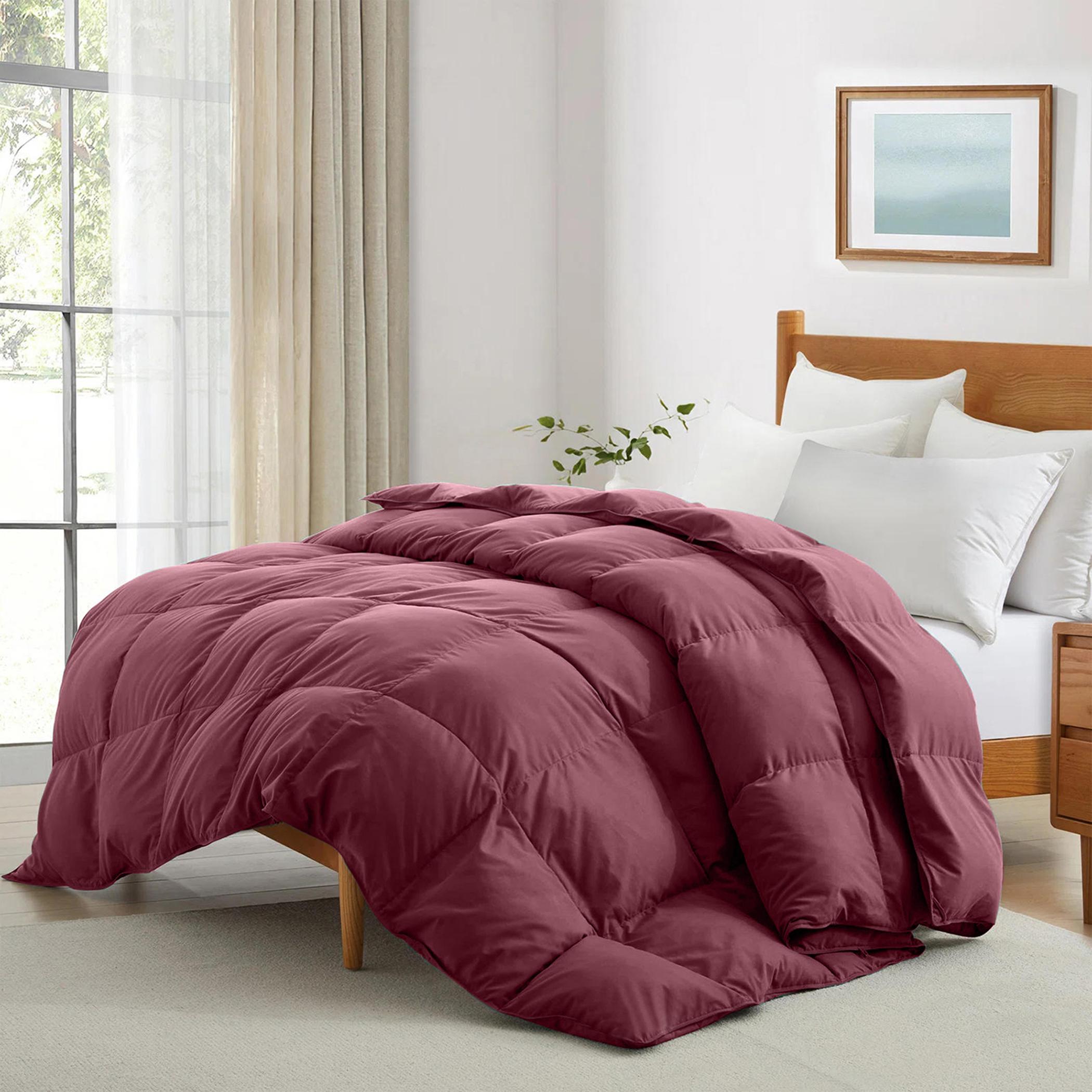 لحاف كوين سناجل من ألتيما - 150×220 سم-hbxbedroom-bedding-comfortersets-image-1