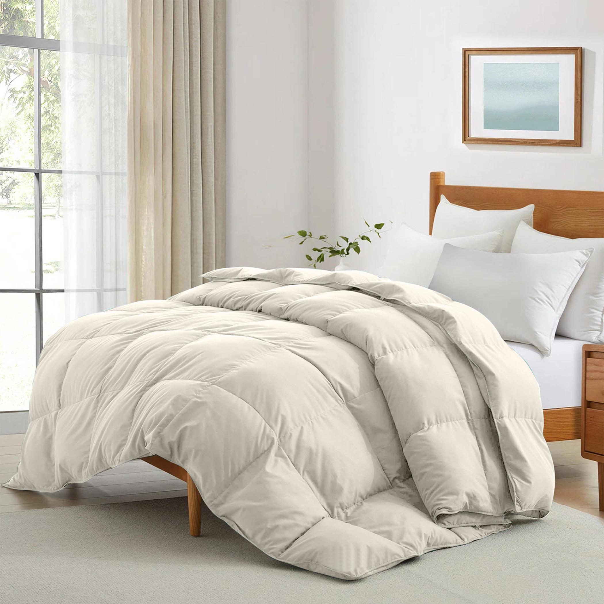 لحاف كوين سناجل من ألتيما - 150×220 سم-hbxbedroom-bedding-comfortersets-image-1
