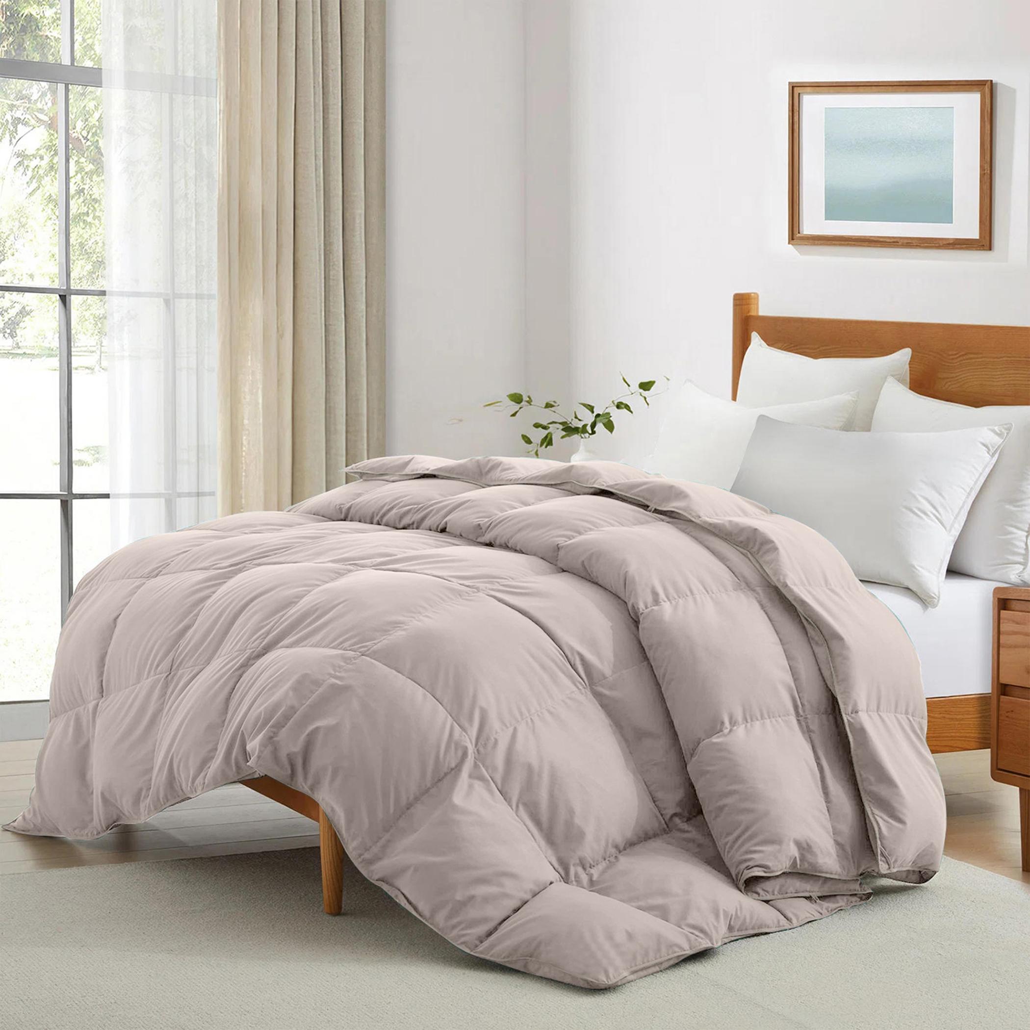 لحاف كوين سناجل من ألتيما - 150×220 سم-hbxbedroom-bedding-comfortersets-image-1