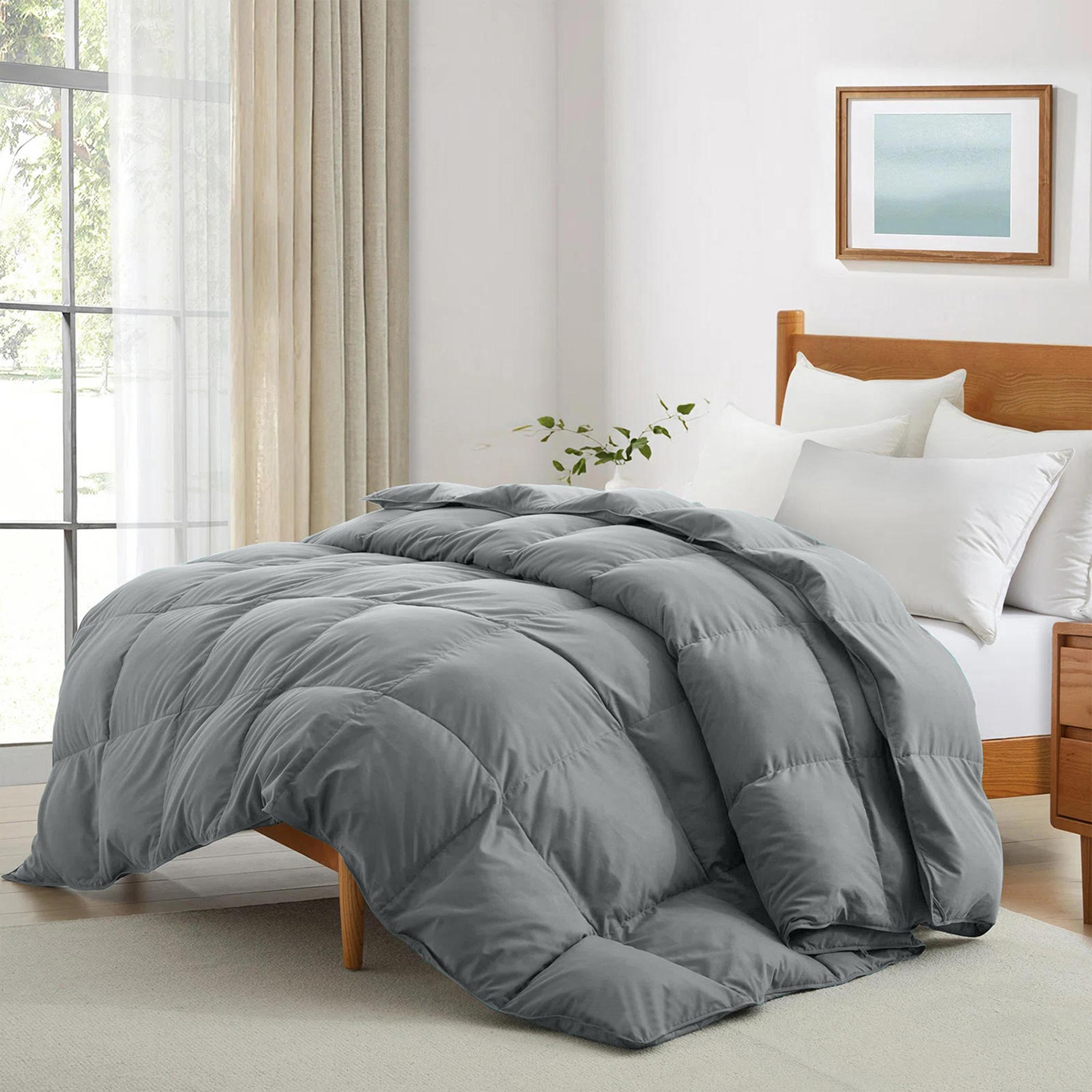 لحاف كوين سناجل من ألتيما - 150×220 سم-hbxbedroom-bedding-comfortersets-image-1