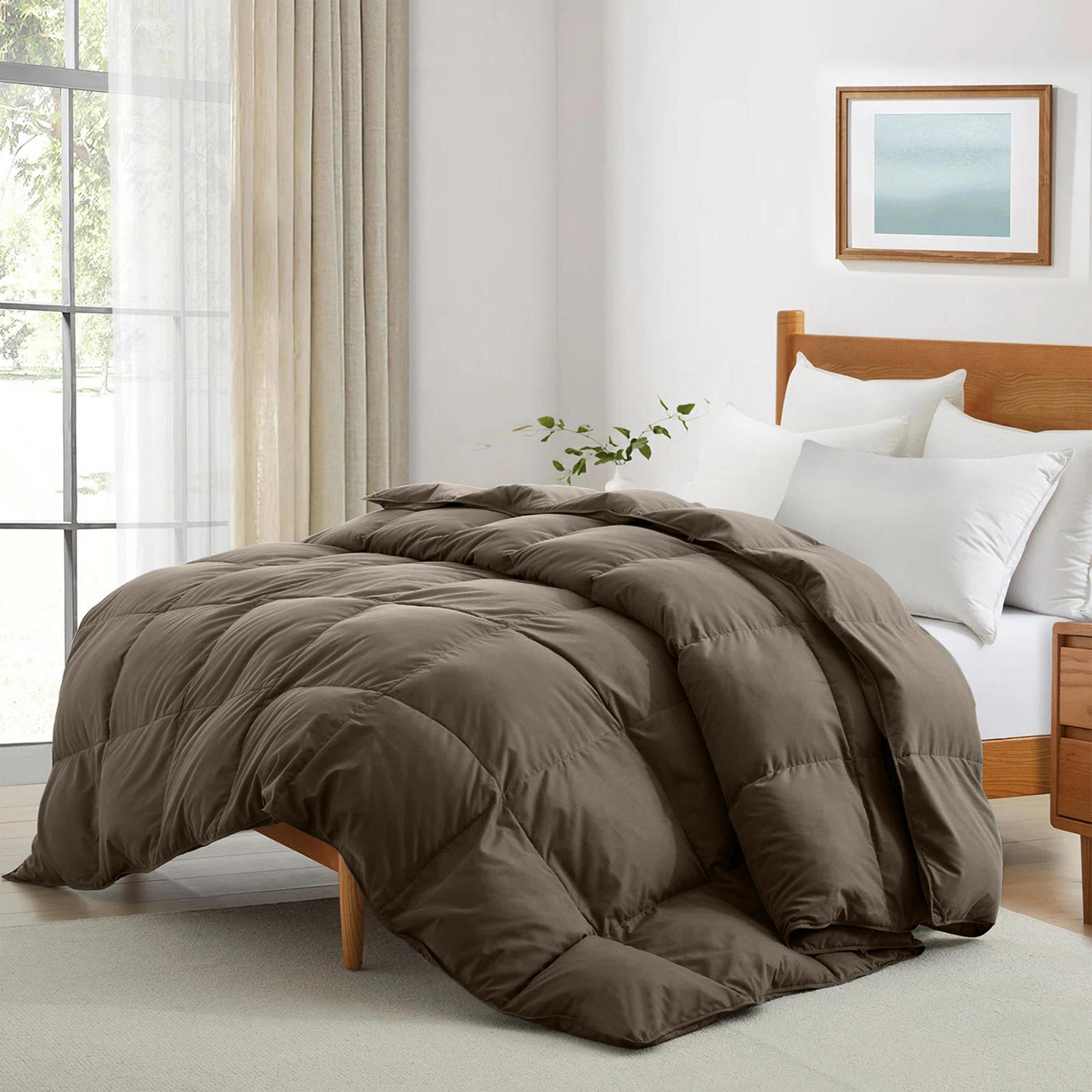 لحاف كوين سناجل من ألتيما - 150×220 سم-hbxbedroom-bedding-comfortersets-image-1