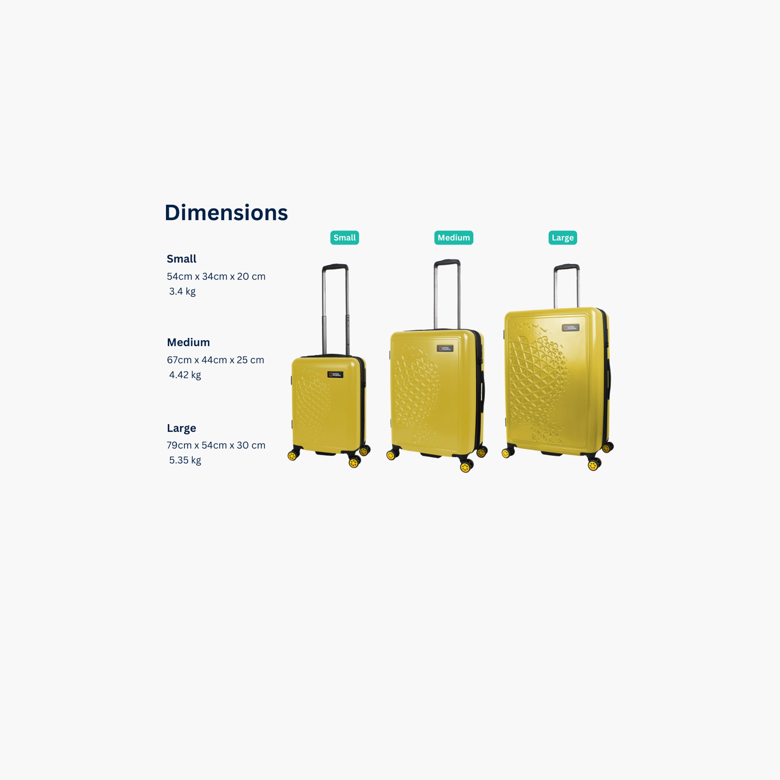 NATIONAL GEOGRAPHIC Globe Set of 3 ABS Hard Sided 4-Wheeler Spinner Trolley Bag with TSA Lock  | N162HA.01-travel-luggagesandbags-luggage-image-2