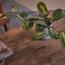 Prayer Plant - 30 cm-InfluencerCodes_Ramadan26_All_20012026-image-1