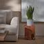 Snake Plant - 60 cm-InfluencerCodes_Ramadan26_All_20012026-image-1