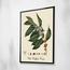 Fame Coffee Tree Branch Framed Wall Art - 80x120 cm-promo_HC_SA_discountpromo_20042020-image-2