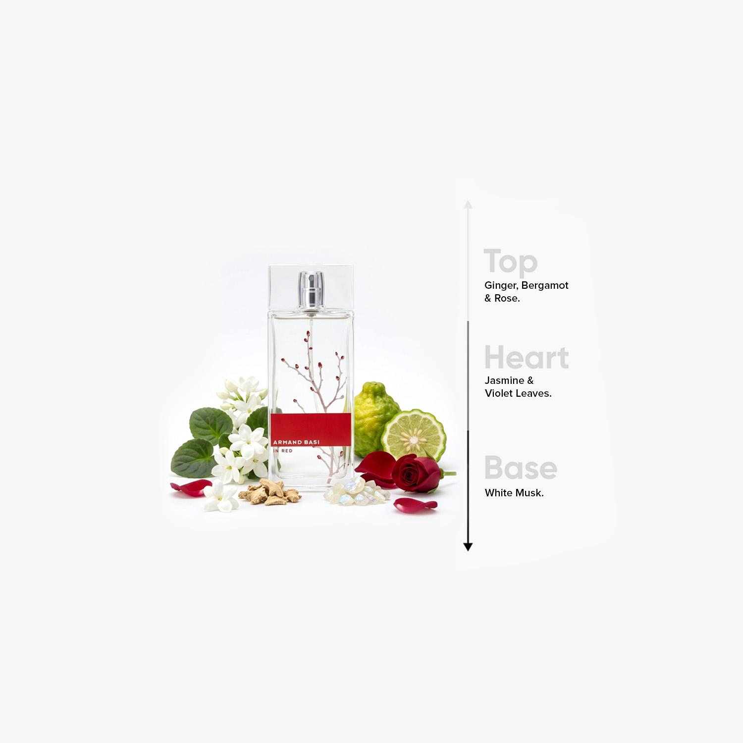 Armand Basi Men's In Red EDT Spray - 100 ml-beautyandpersonalcare-fragrance-unisex-image-4