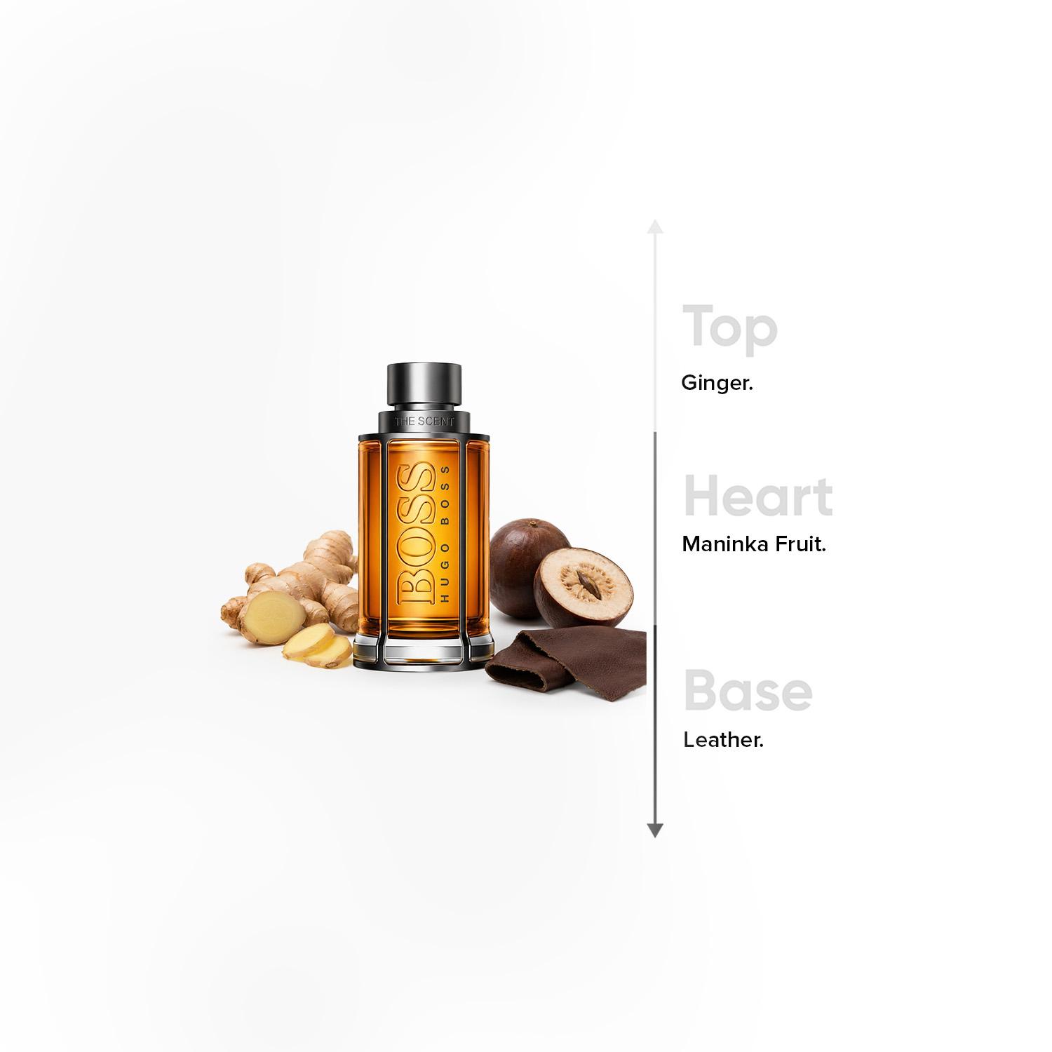 Hugo Boss The Scent EDT Spray for Men - 50 ml-beautyandpersonalcare-fragrance-men-image-4