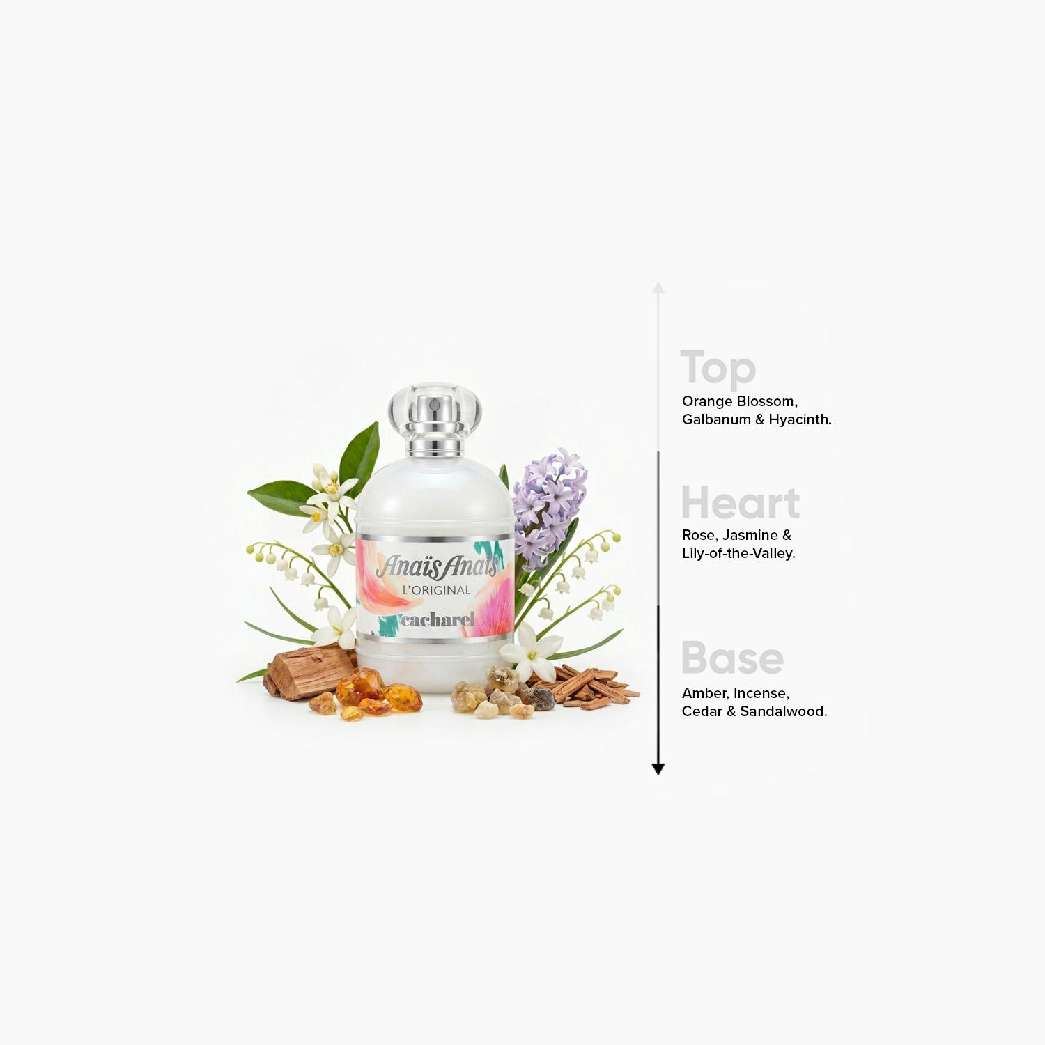 Cacharel Anais Anais EDT Spray - 100 ml-beautyandpersonalcare-fragrance-unisex-image-4