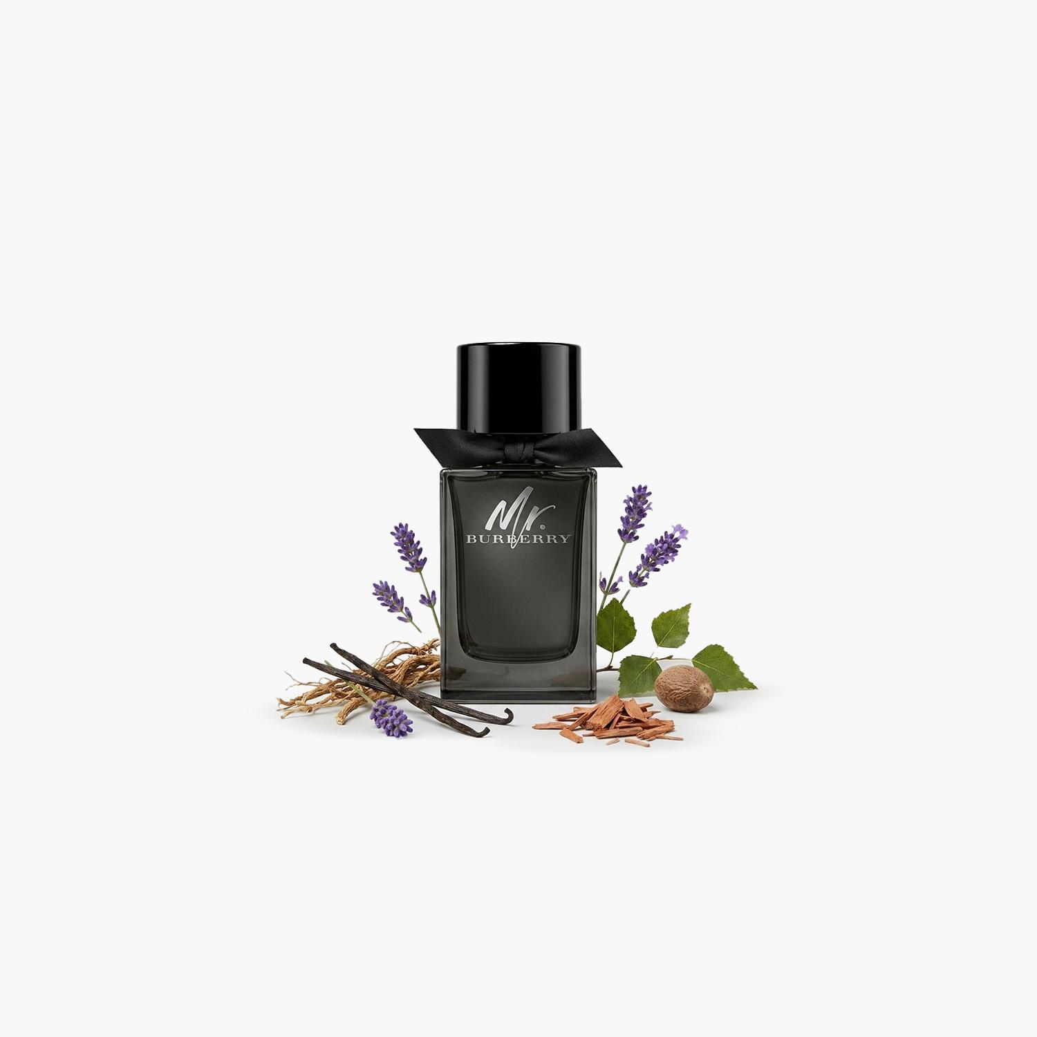 بربري مستر بربري - ماء عطر للرجال - 50 مل-beautyandpersonalcare-fragrance-men-image-3
