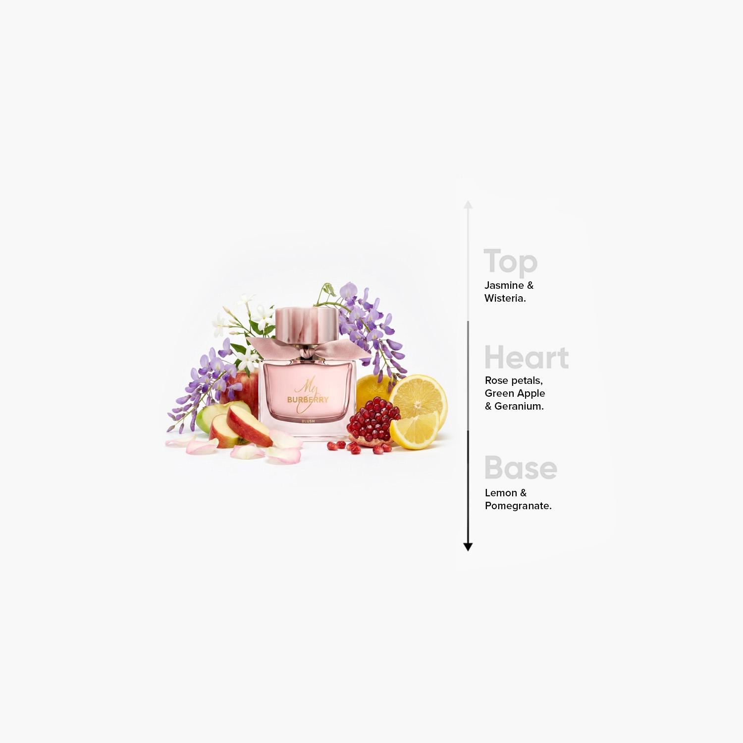 بربري ماي بربري بلاش إو دو بارفان للنساء - 50 مل-beautyandpersonalcare-fragrance-women-image-4