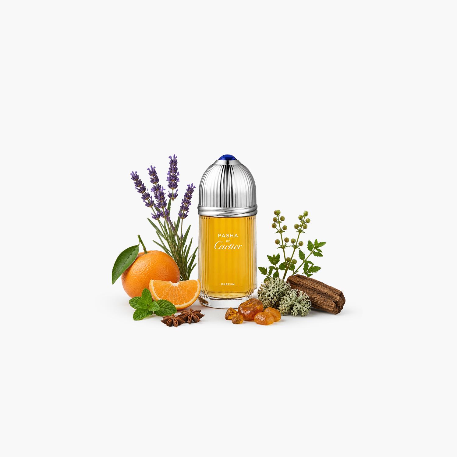 كارتييه باشا - ماء دو بارفان للرجال - 100 مل-beautyandpersonalcare-fragrance-men-image-3