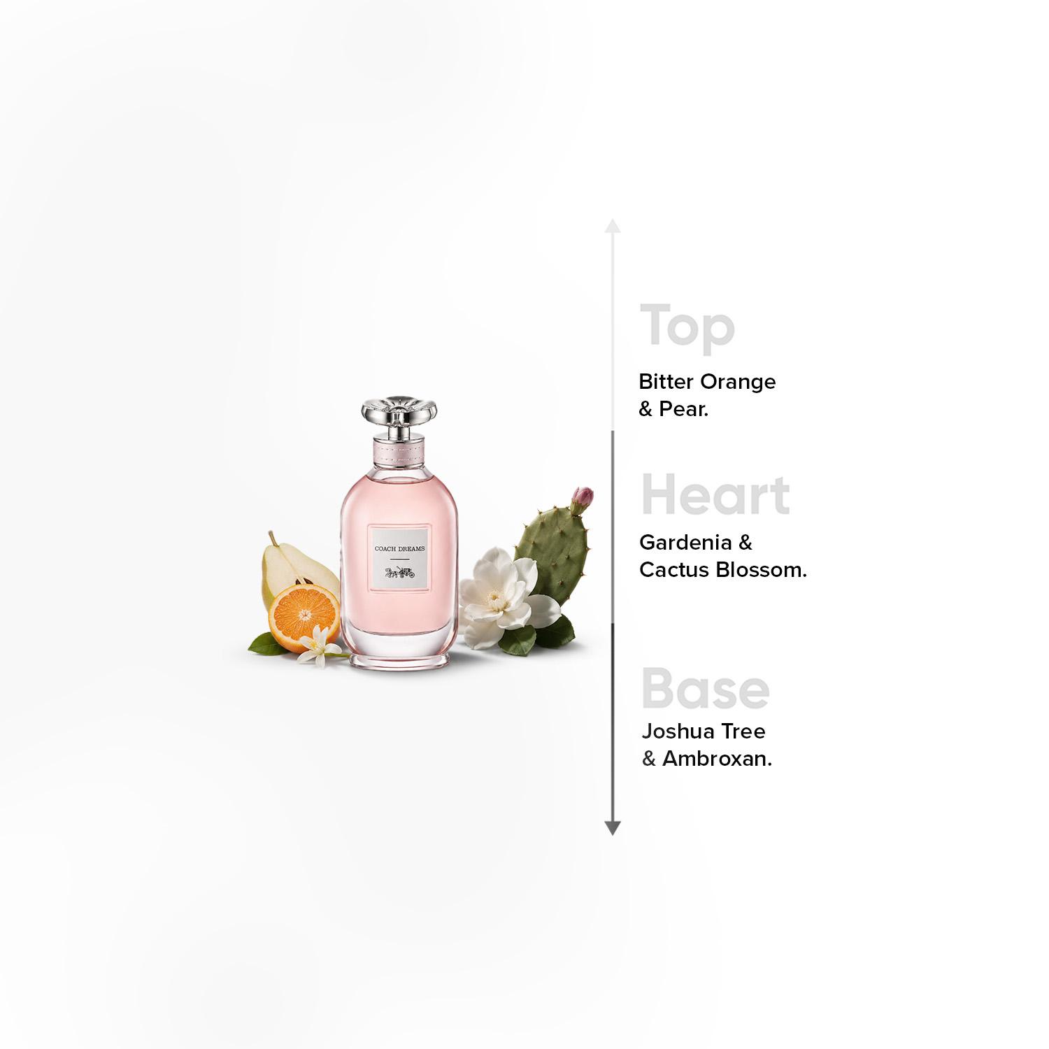 Coach Dreams أو دو بارفان للنساء - 90 مل-beautyandpersonalcare-fragrance-women-image-4