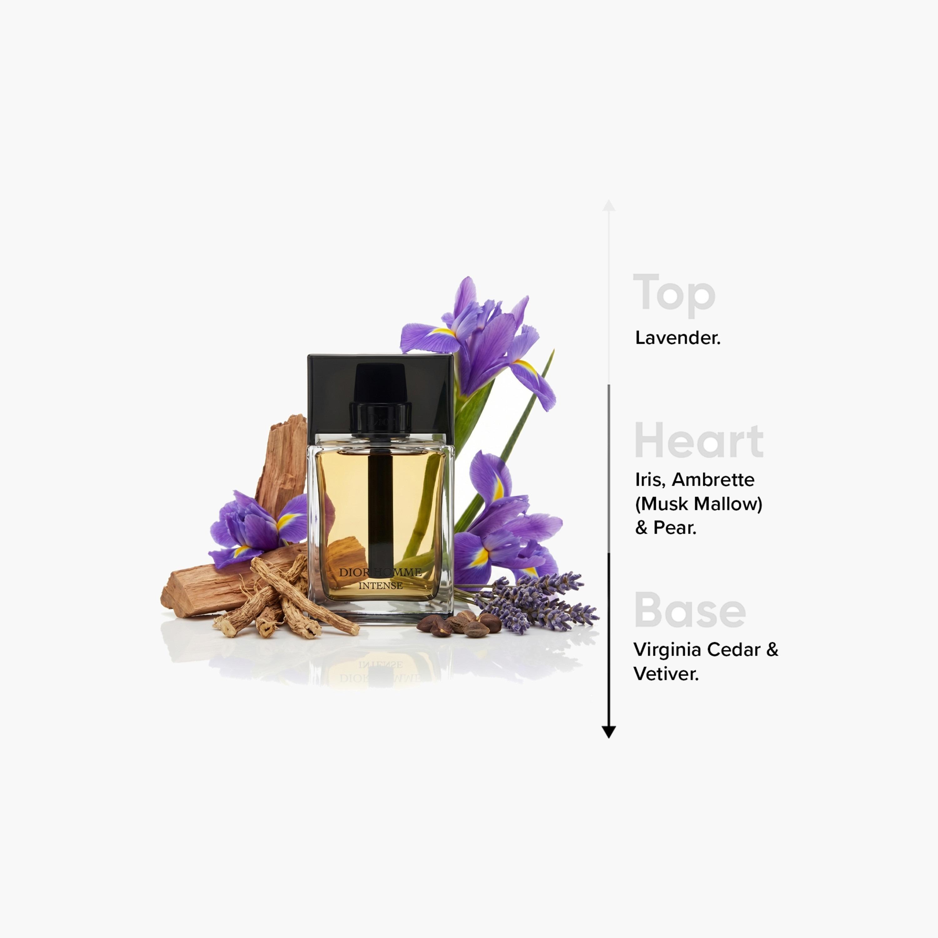 كريستيان ديور أوم إنتنس - ماء دو بارفان للرجال - 100 مل-beautyandpersonalcare-fragrance-men-image-4
