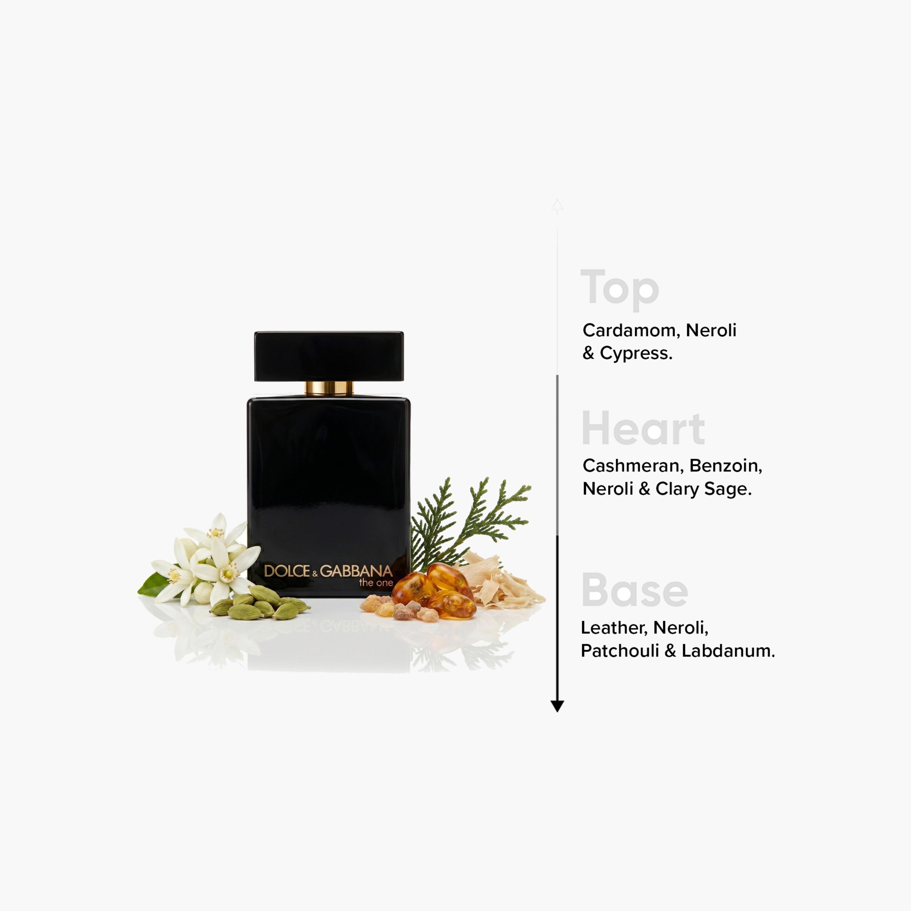 Dolce & Gabbana The One Intense أو دو بارفان للرجال - 100 مل-beautyandpersonalcare-fragrance-men-image-4