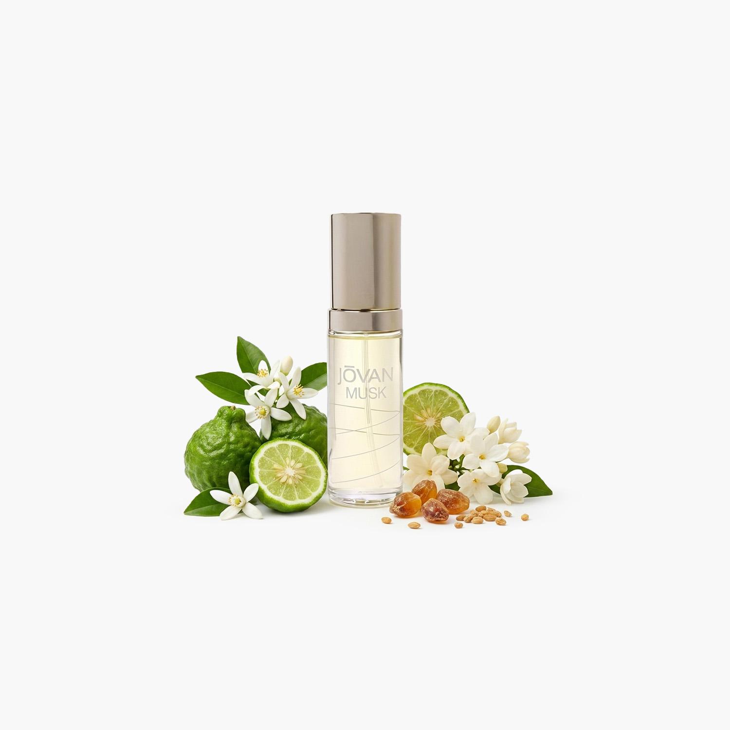 Jovan Musk Eau de Cologne Spray for Women - 59 ml-beautyandpersonalcare-fragrance-women-image-3