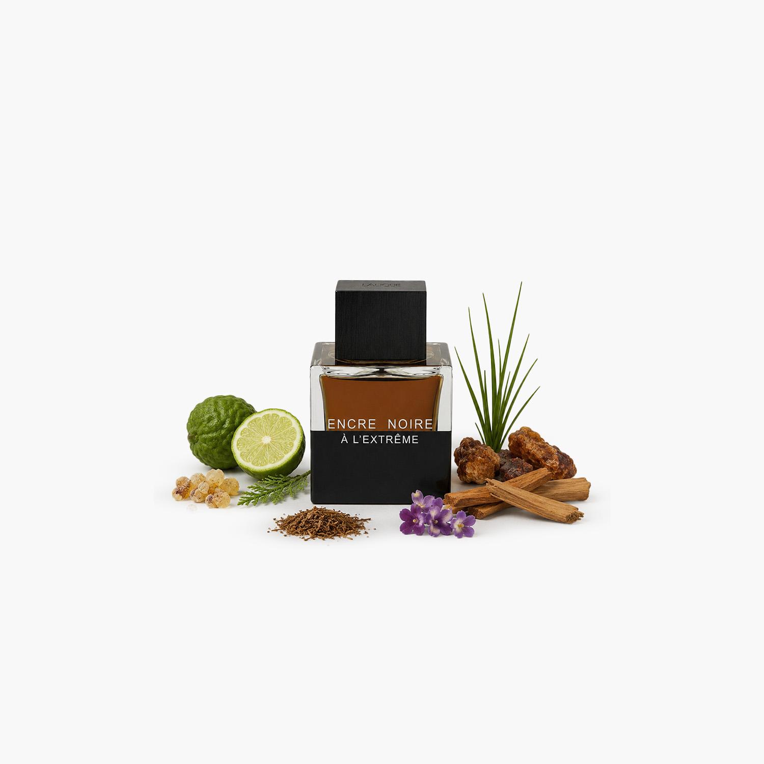 Lalique Encre Noire A L'Extreme EDP - 100 ml-beautyandpersonalcare-fragrance-unisex-image-3