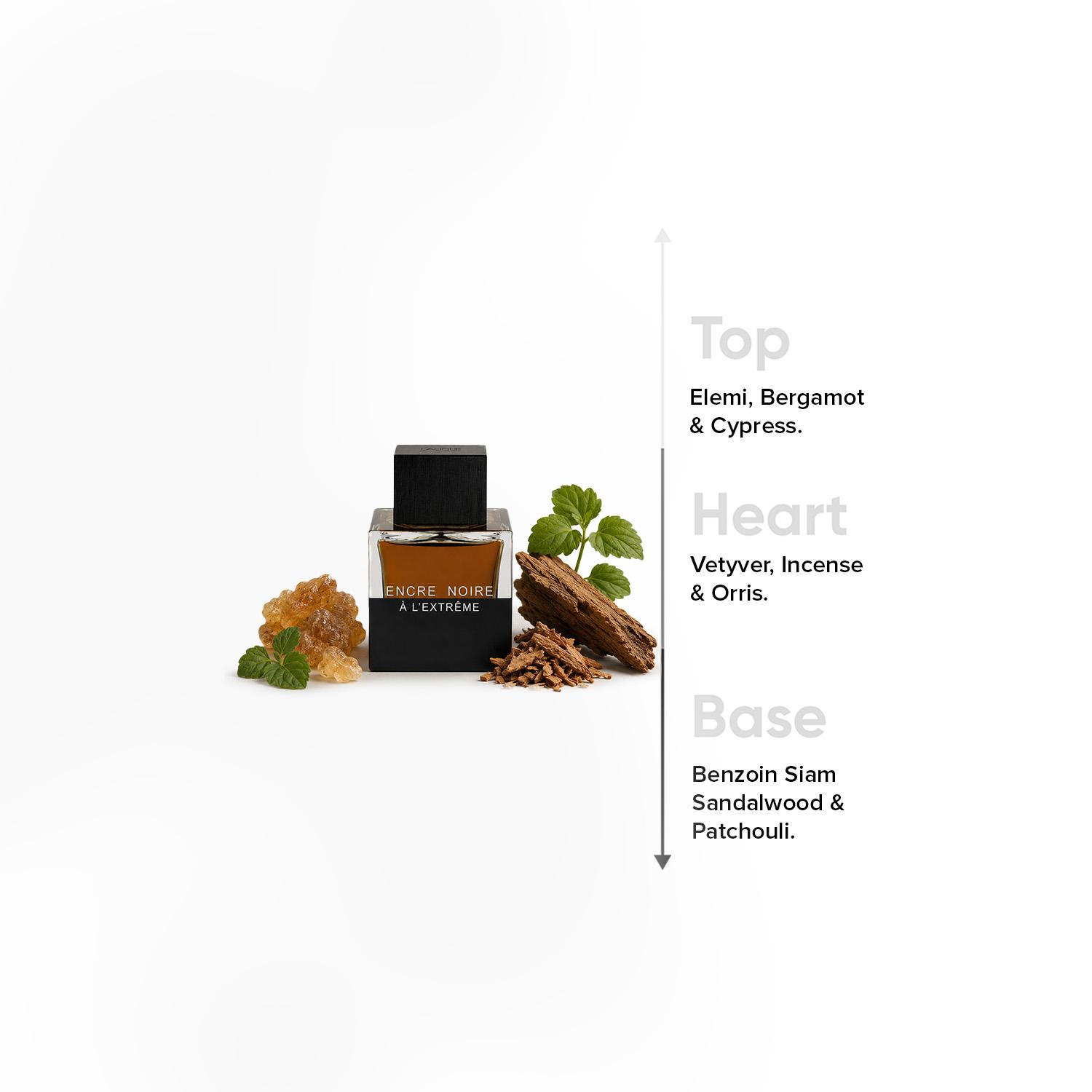 Lalique Encre Noire A L'Extreme EDP - 100 ml-beautyandpersonalcare-fragrance-unisex-image-4