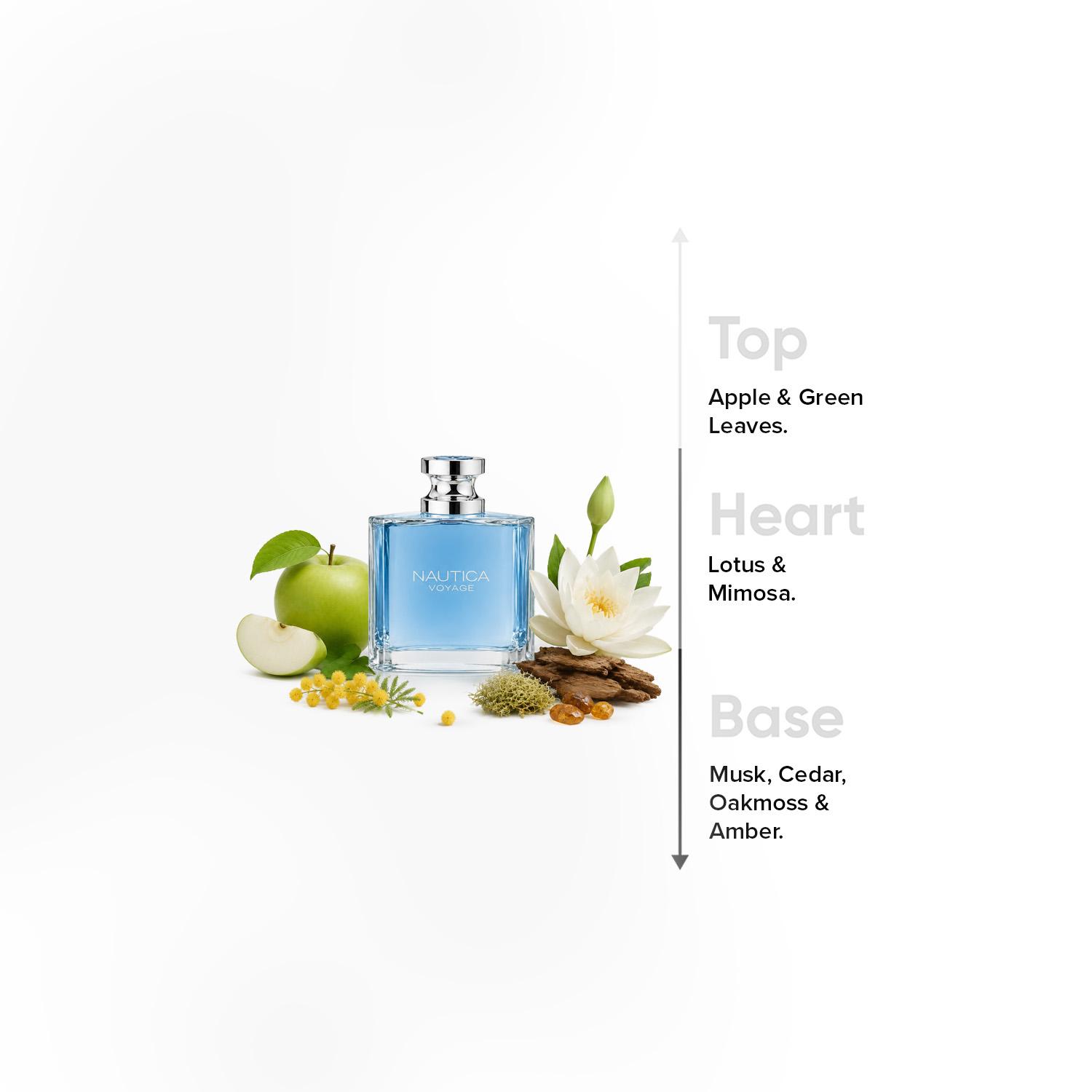 Nautica Men's Voyage EDT - 100 ml-beautyandpersonalcare-fragrance-unisex-image-4