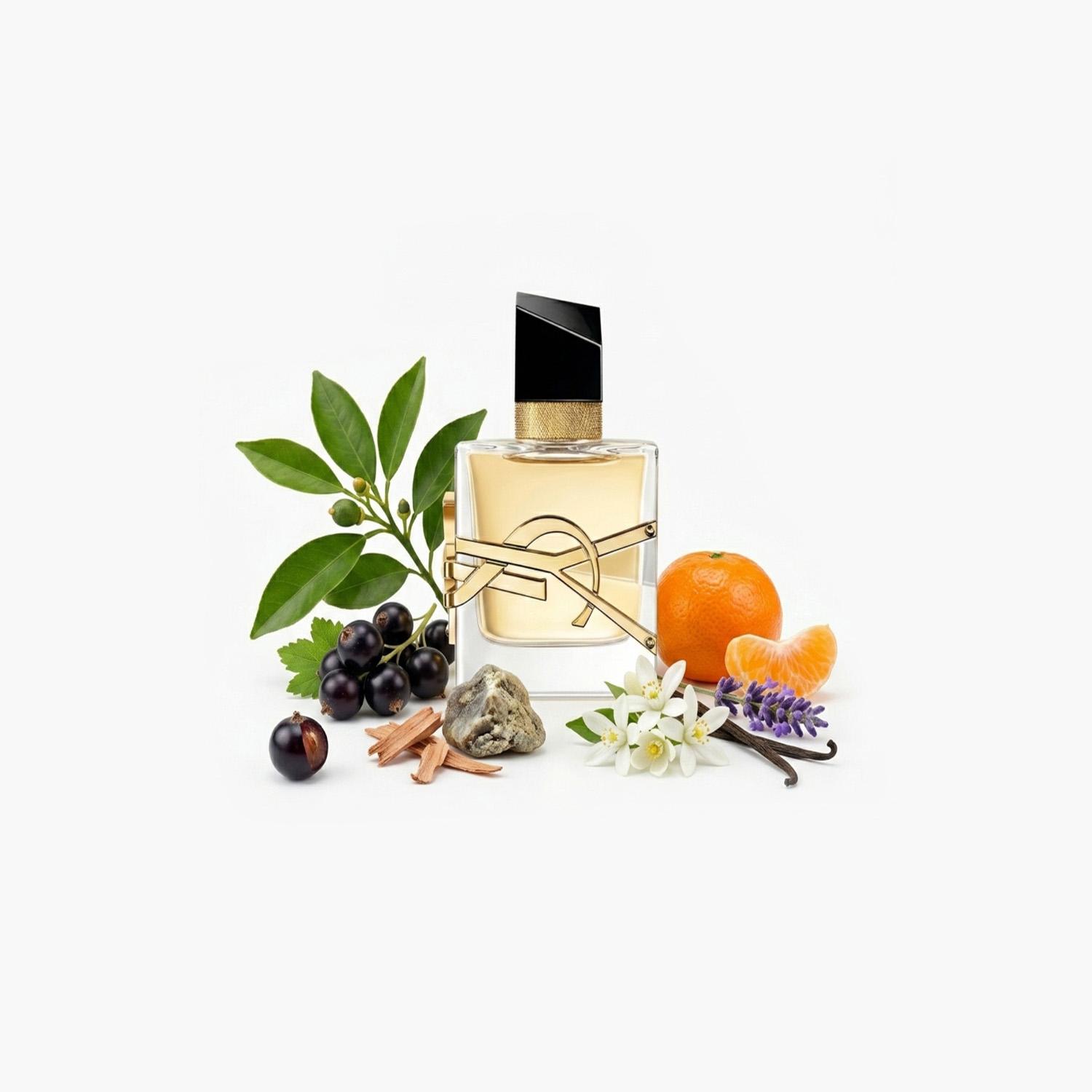 Yves Saint Laurent Libre EDP for Women - 50 ml-beautyandpersonalcare-fragrance-women-image-3