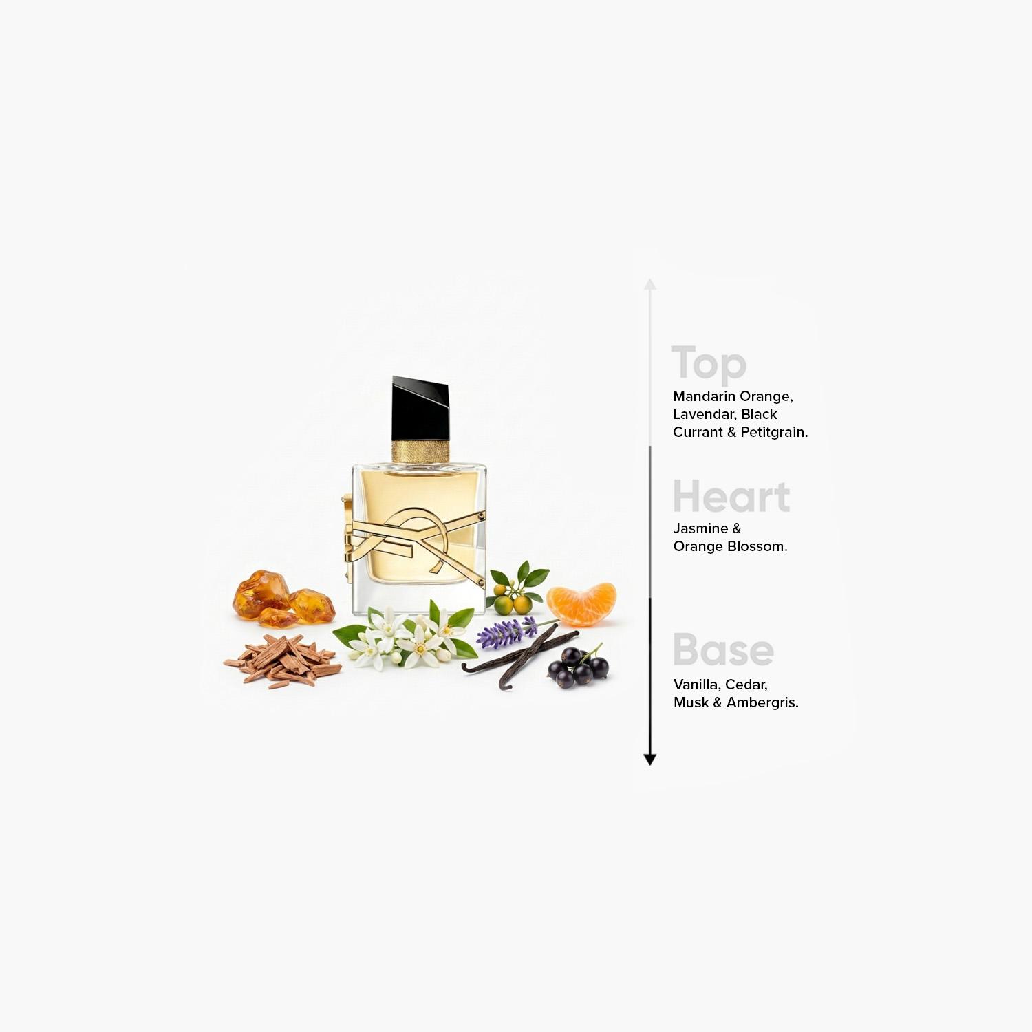 Yves Saint Laurent Libre EDP for Women - 50 ml-beautyandpersonalcare-fragrance-women-image-4