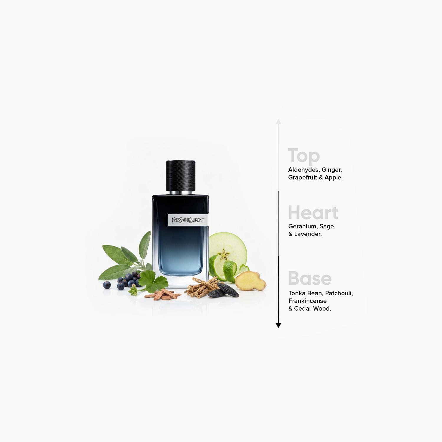 Yves Saint Laurent Intense عطر للرجال - 100 مل-beautyandpersonalcare-fragrance-men-image-4