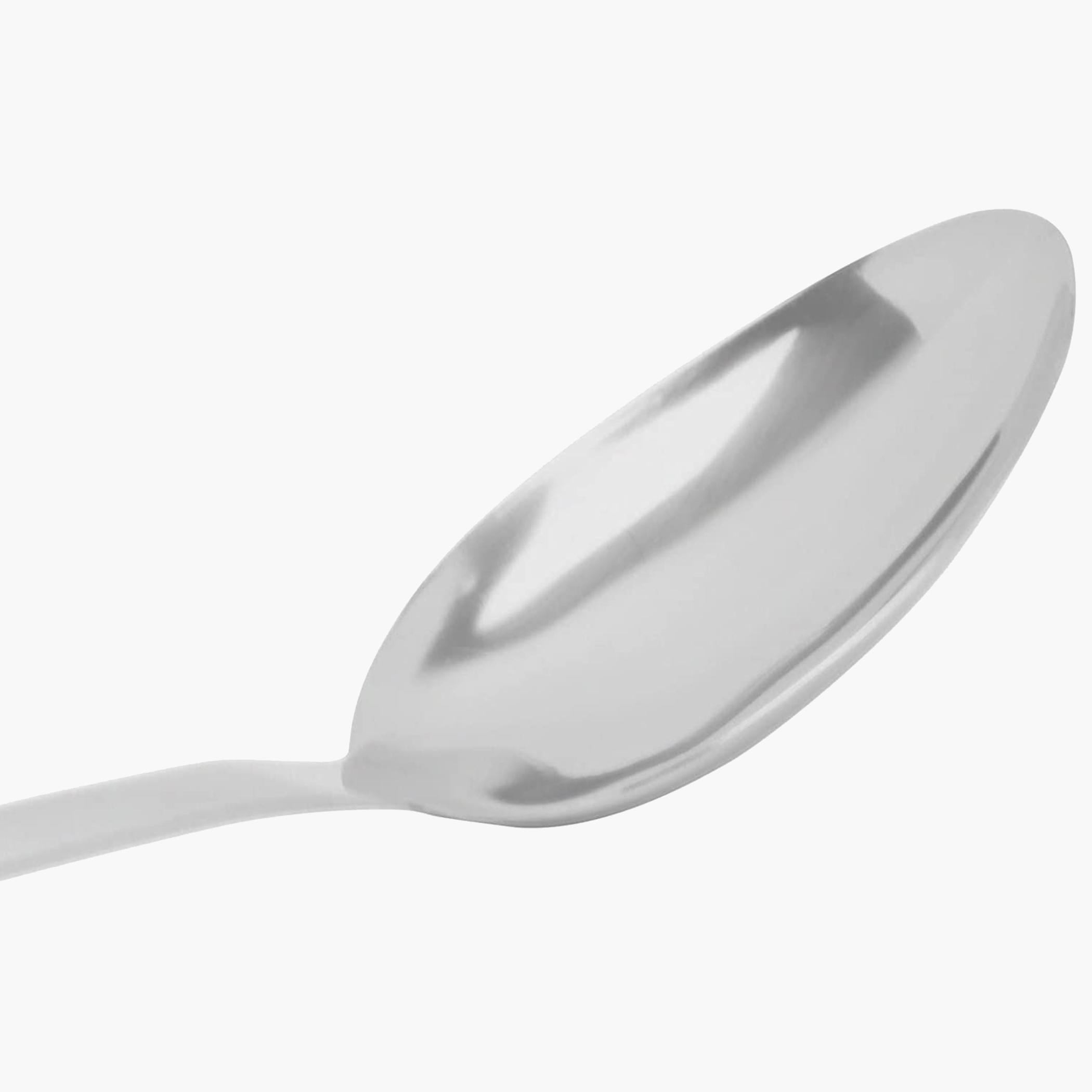 Eco Stainless Steel Spoon-household-dining-cutlery-spoonsforksandknives-image-5