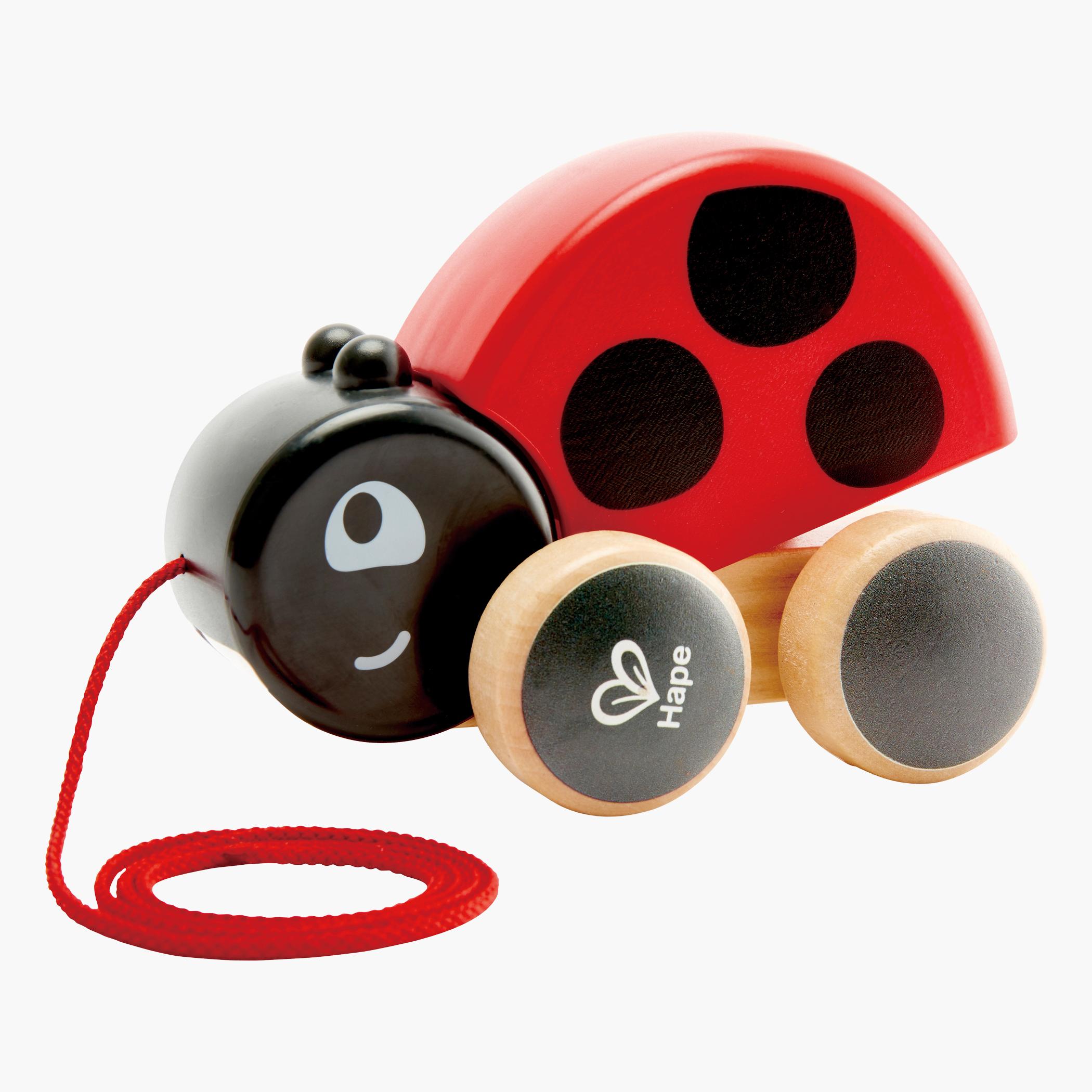 Hape Ladybug Push and Pull Along Toy