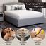 Alhome Queen Bed - 150x200 cm-InfluencerCodes_Ramadan26_All_20012026-image-5