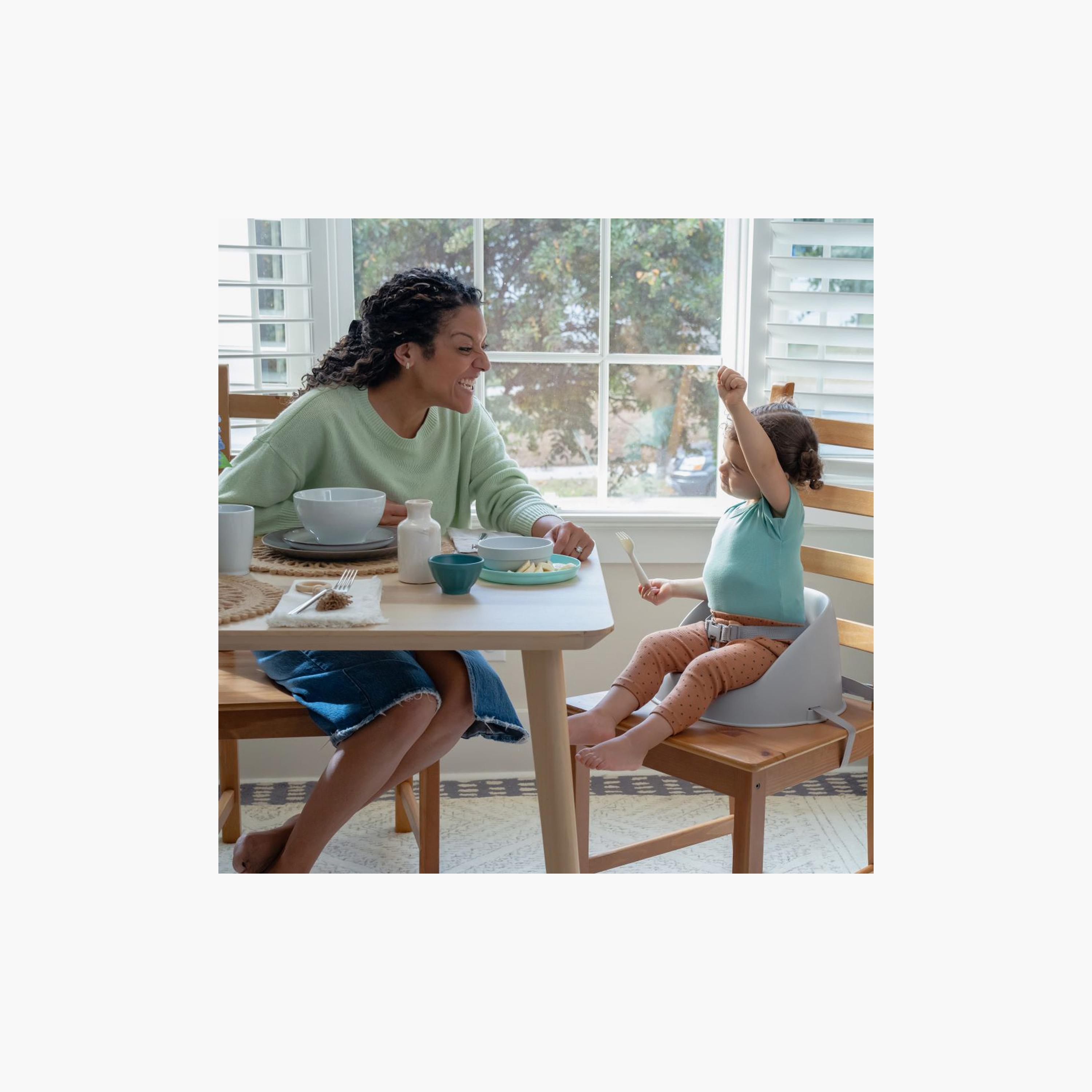 ity by Ingenuity Simplicity Seat Easy-Clean Baby Booster Feeding Chair-baby-feeding-highchairsandboosters-image-3