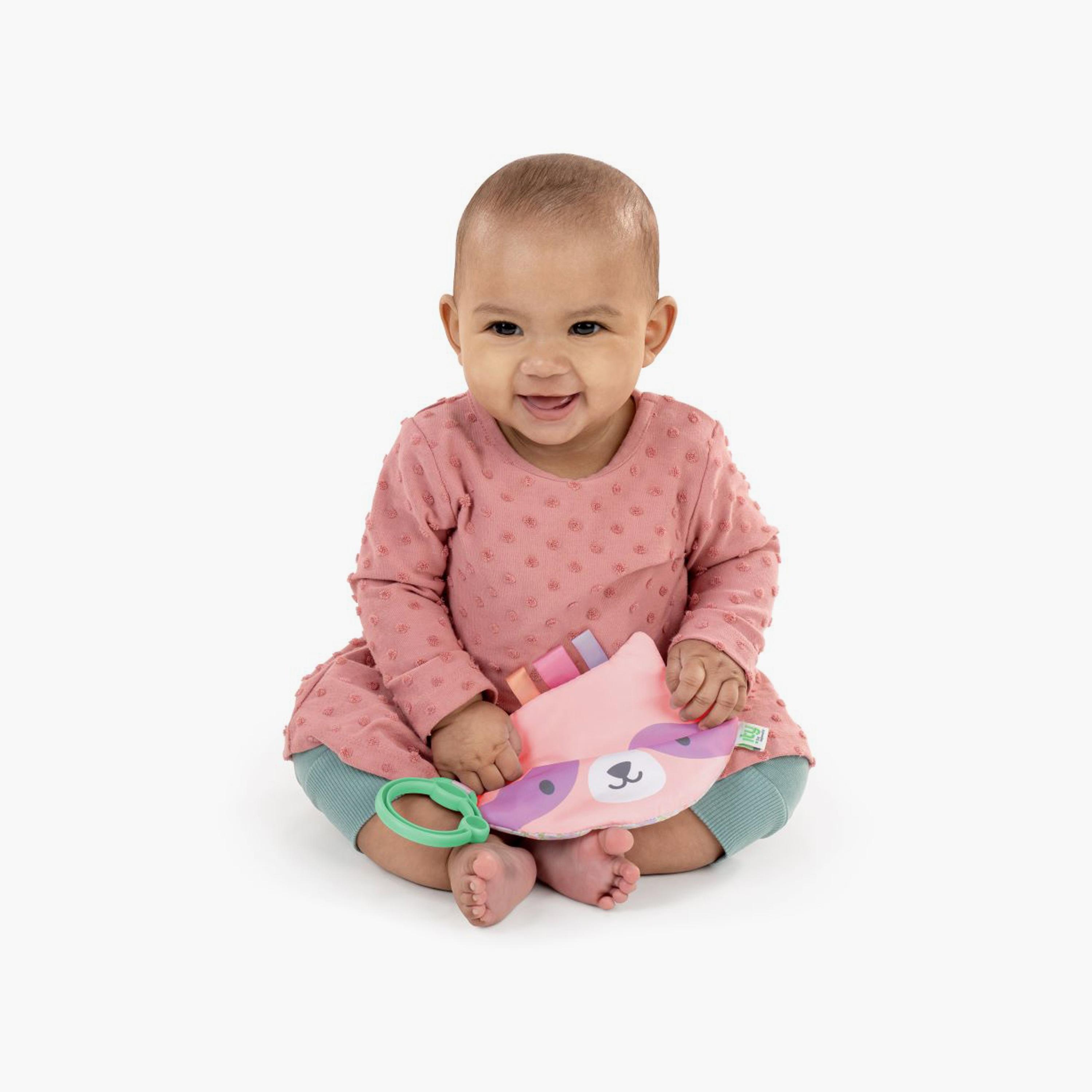 ity by Ingenuity Crinklet - Raccoon-toys-plushsofttoys-animals-image-3