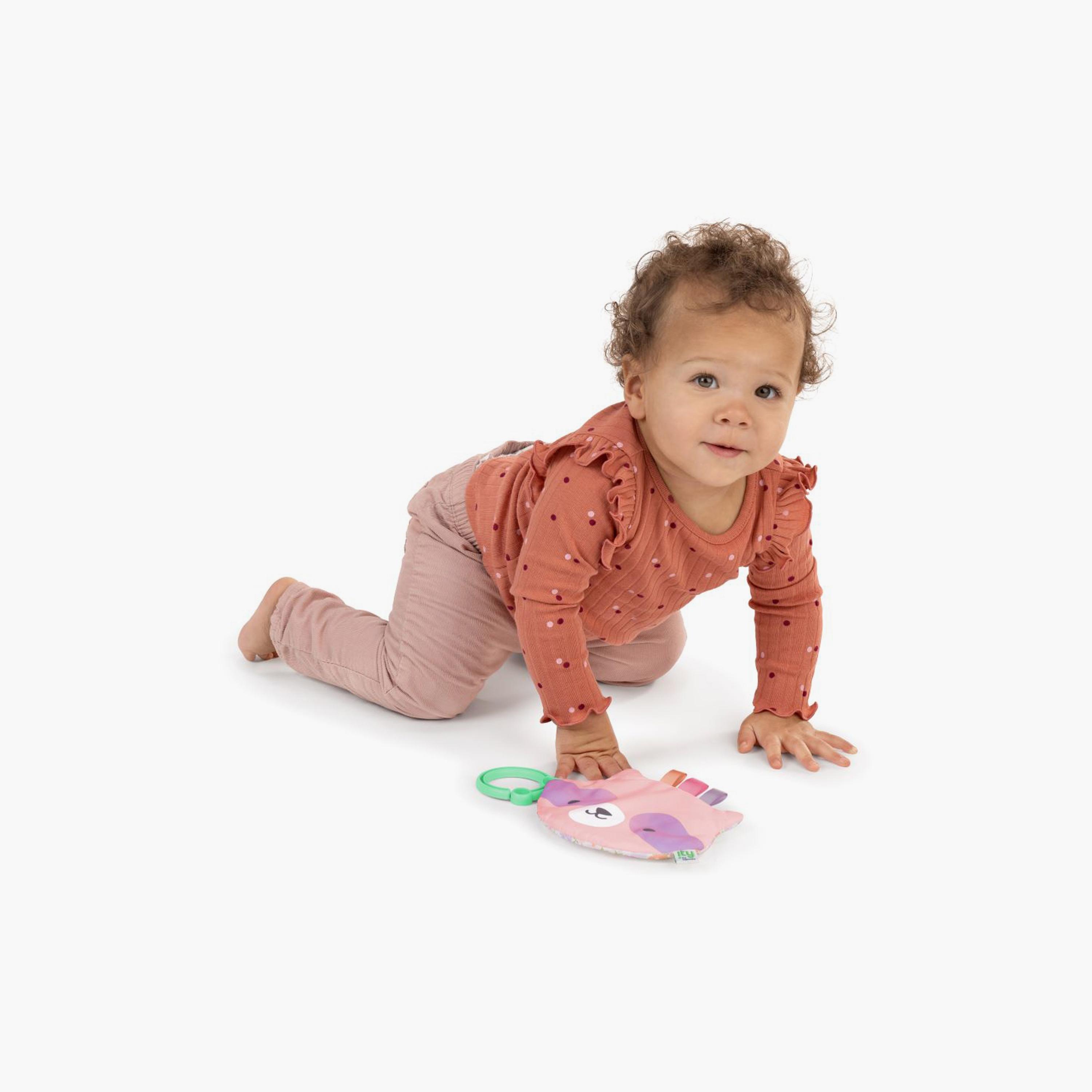 ity by Ingenuity Crinklet - Raccoon-toys-plushsofttoys-animals-image-4