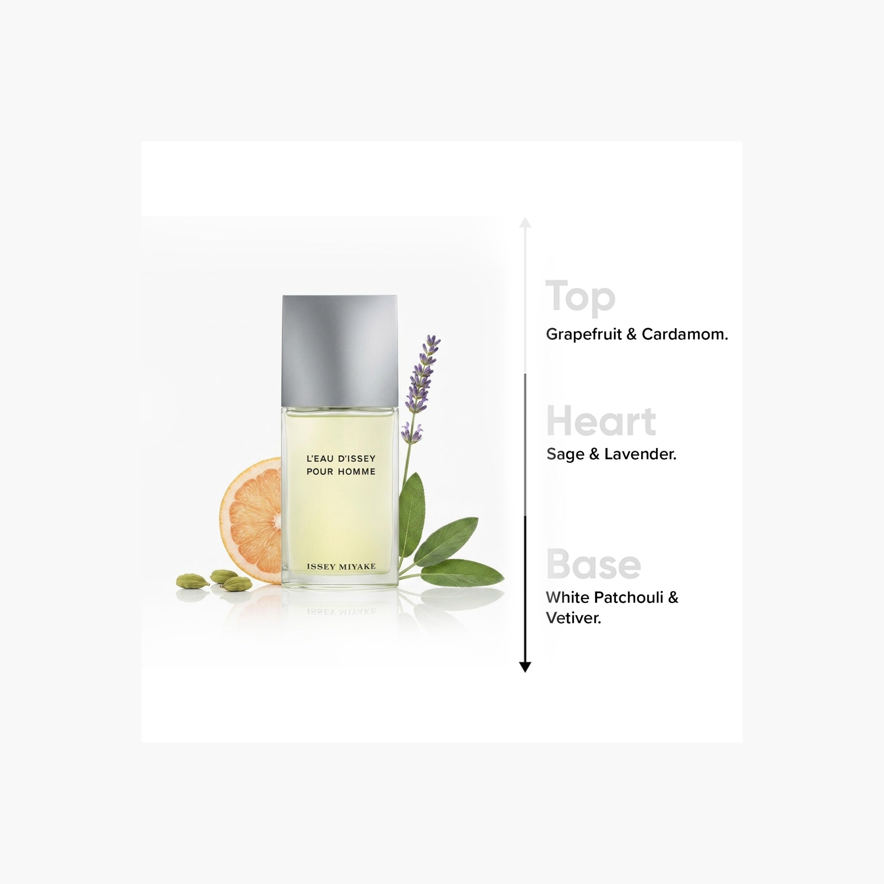 Issey Miyake L'Eau D'Issey Pour Homme Eau de Toilette Spray for Men - 75 ml-beautyandpersonalcare-fragrance-men-image-2
