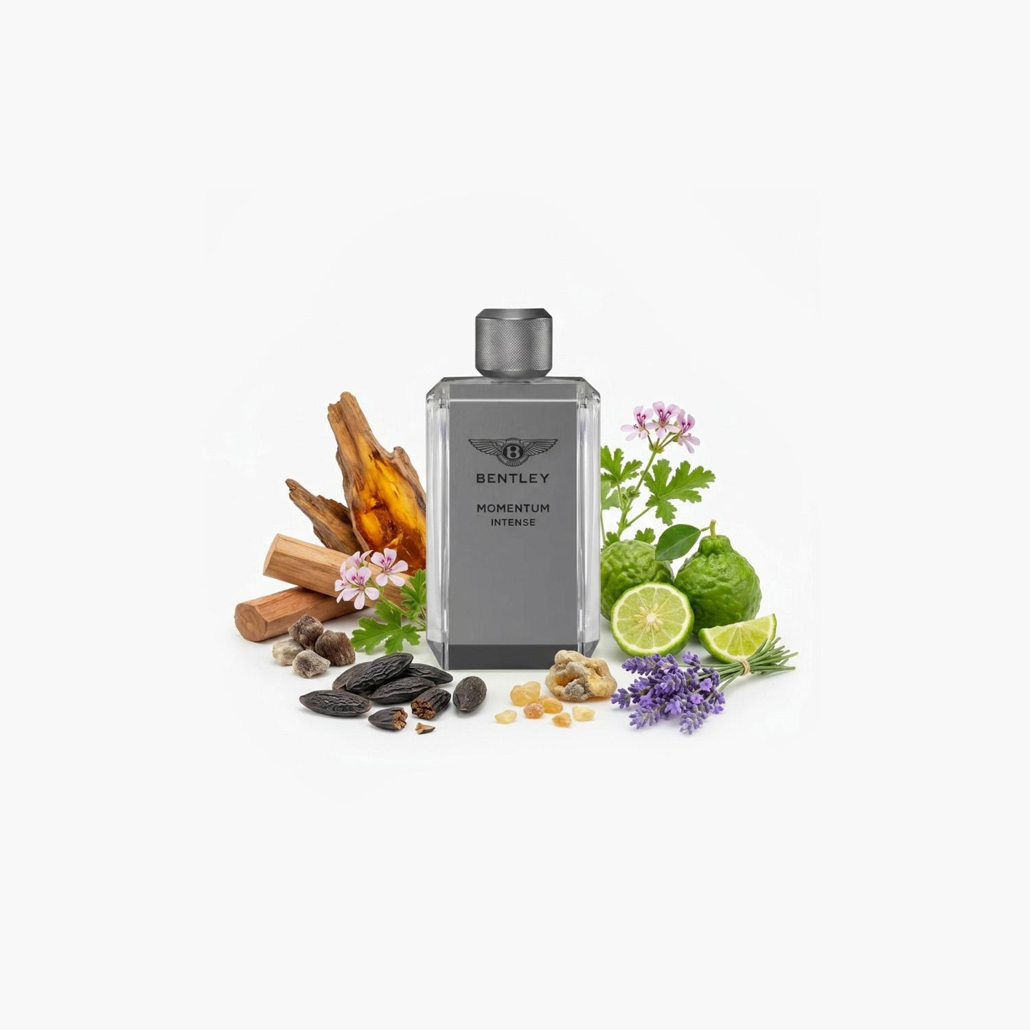 عطر بنتلي مومنتوم إنتنس - ماء عطر للرجال بخاخ - 100 مل-beautyandpersonalcare-fragrance-men-image-3