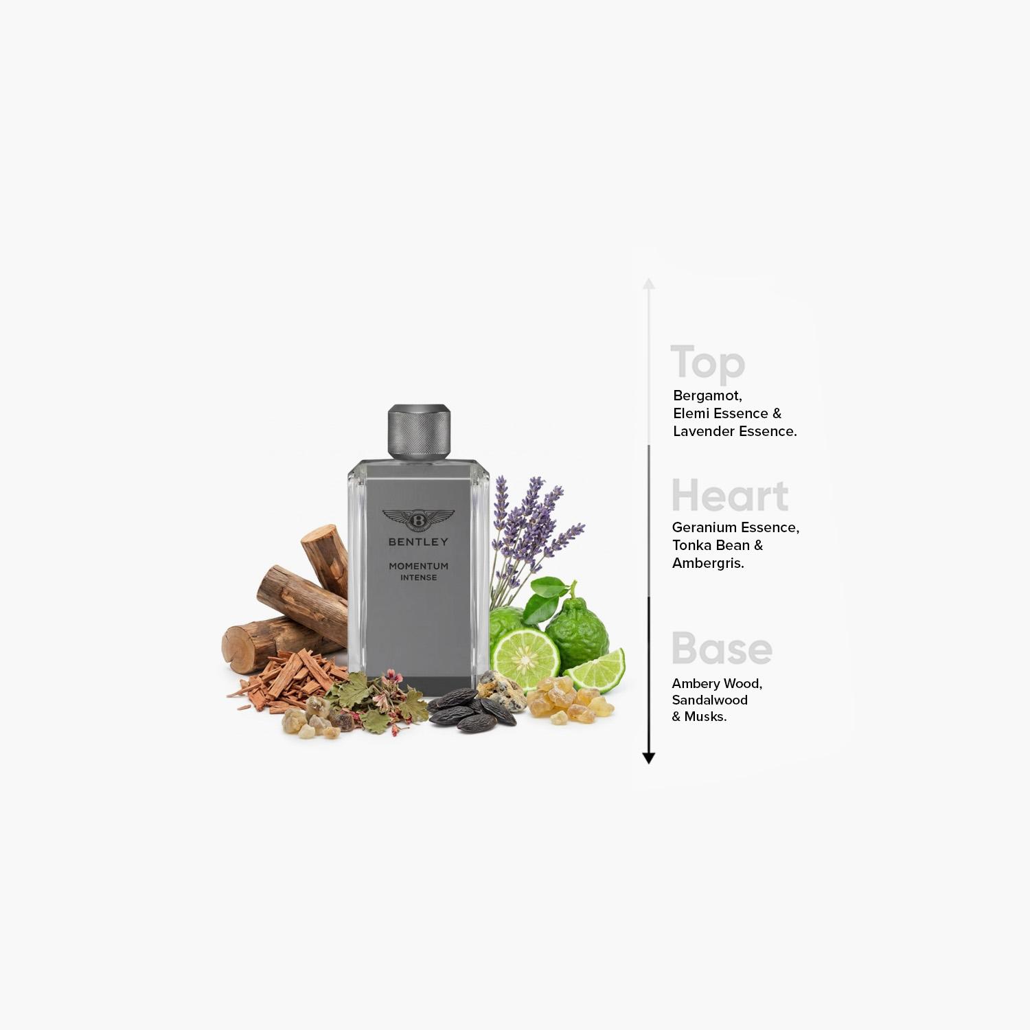 عطر بنتلي مومنتوم إنتنس - ماء عطر للرجال بخاخ - 100 مل-beautyandpersonalcare-fragrance-men-image-4