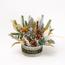 Signature Artistry Winter Wonderland Christmas Decorative Accent-InfluencerCodes_Ramadan26_All_20012026-image-1