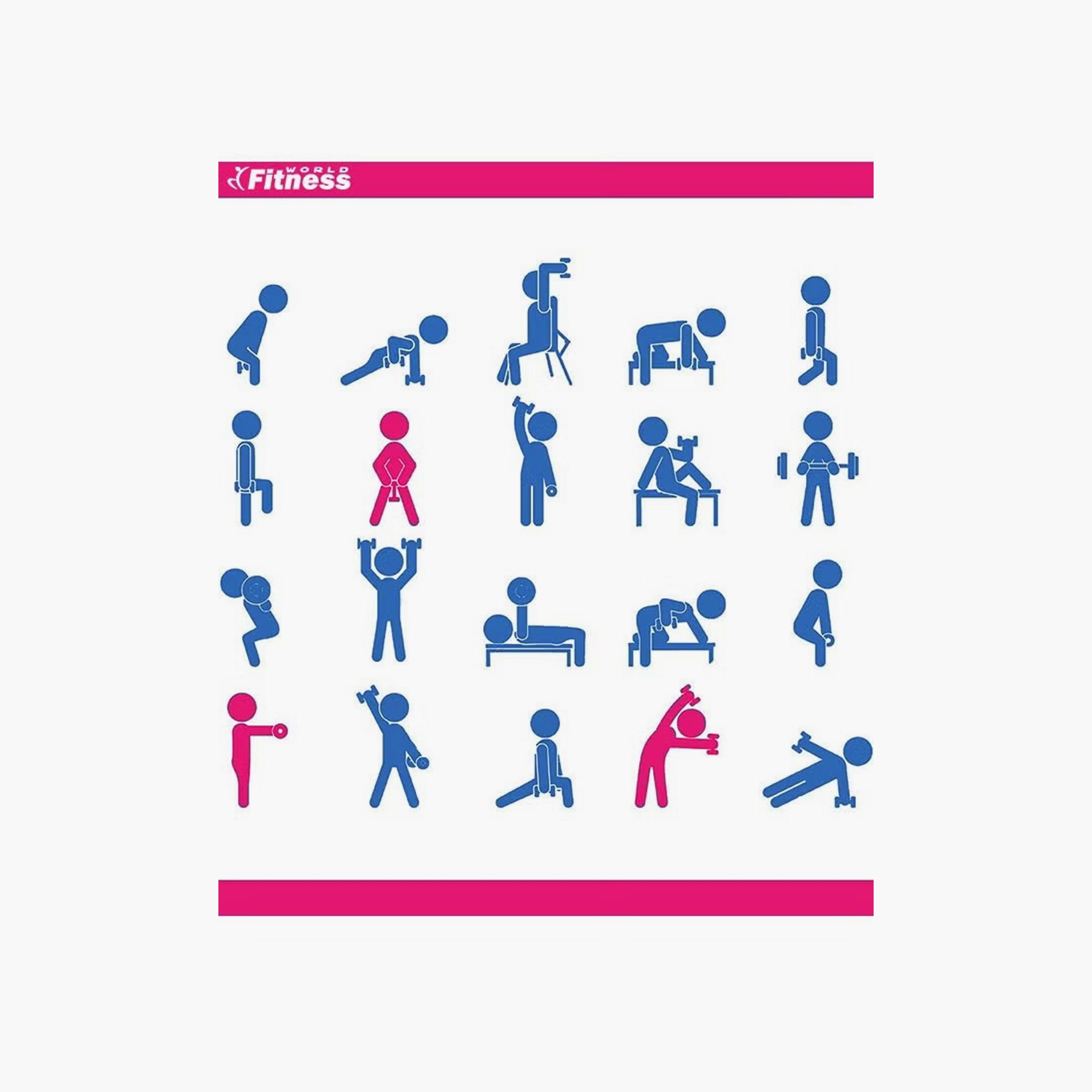 دمبل رفع أثقال مصنوع من الفينيل، 4 كجم، وردي | Z18A01F25AE0AFD1C5208Z-1-sports-gear-gym-image-3