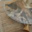 طاولة قهوة بسطح زجاج - جافا-InfluencerCodes_Ramadan26_All_20012026-image-3
