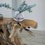 Java Console Table - Medium-InfluencerCodes_Ramadan26_All_20012026-image-3