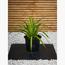 Tropical Plant with Pot - Set of 5-InfluencerCodes_Ramadan26_All_20012026-image-2