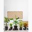 Tropical Plant with Pot - Set of 5-InfluencerCodes_Ramadan26_All_20012026-image-1