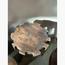 SOL III Medusa Stool-InfluencerCodes_Ramadan26_All_20012026-image-3
