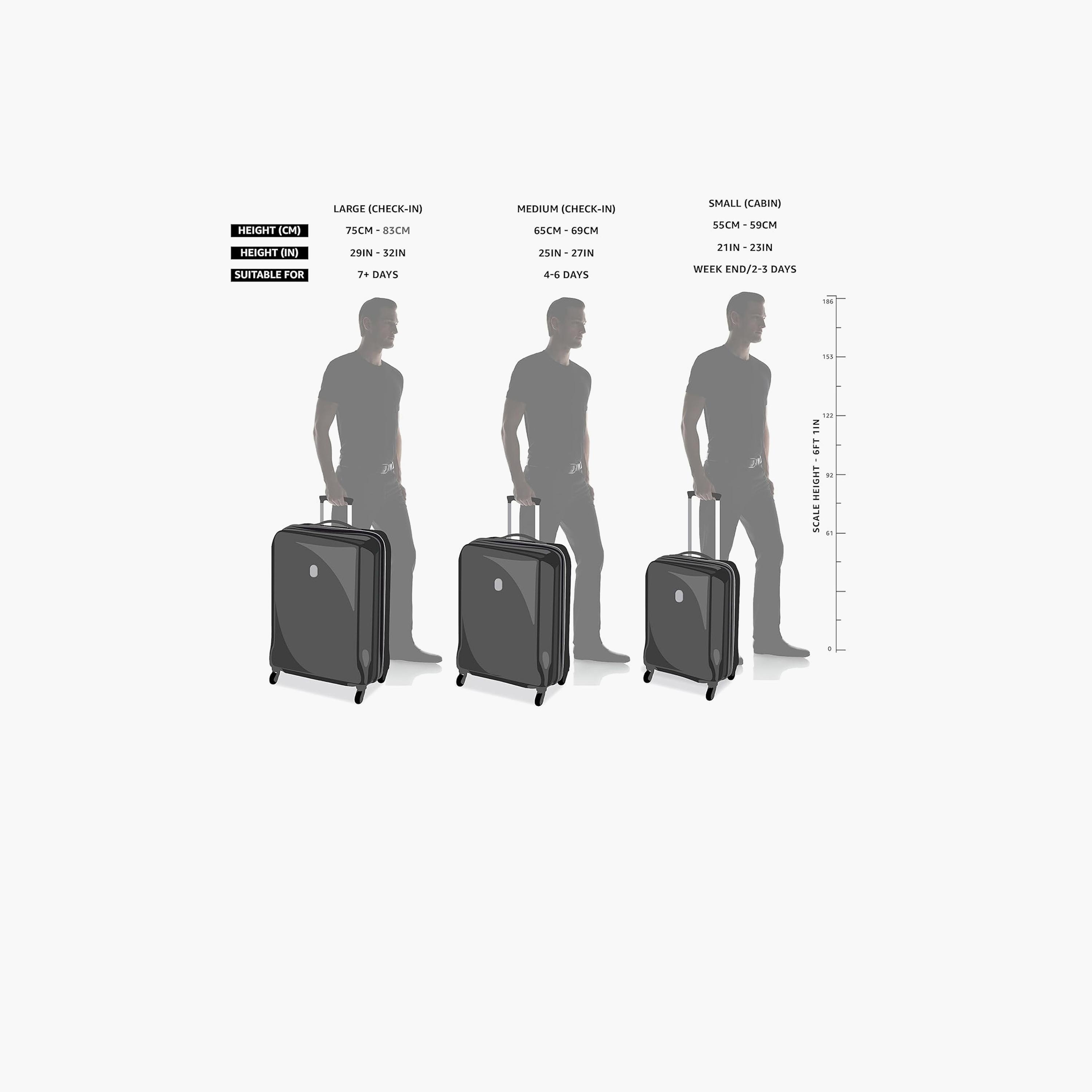 American Tourister Majoris Set of 3 Polyester Soft Sided 4-Wheeler Spinner Trolley Bag with Combination lock-travel-luggagesandbags-luggage-image-3