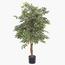 Ficus Plant in Pot - 120 cm-InfluencerCodes_Ramadan26_All_20012026-image-1