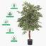 Ficus Plant in Pot - 120 cm-InfluencerCodes_Ramadan26_All_20012026-image-4