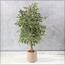Ficus Plant in Pot - 120 cm-InfluencerCodes_Ramadan26_All_20012026-image-7
