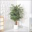 Ficus Plant in Pot - 120 cm-InfluencerCodes_Ramadan26_All_20012026-image-9