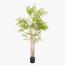 Bamboo Plant in Pot - 160 cm-InfluencerCodes_Ramadan26_All_20012026-image-2