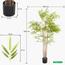 Bamboo Plant in Pot - 160 cm-InfluencerCodes_Ramadan26_All_20012026-image-3